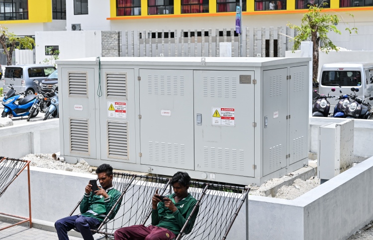 ހާމަ އަށް ދޫކޮށްލާފައި އޮންނަ މަރުގެ ދަންތުރަތަކެއް!