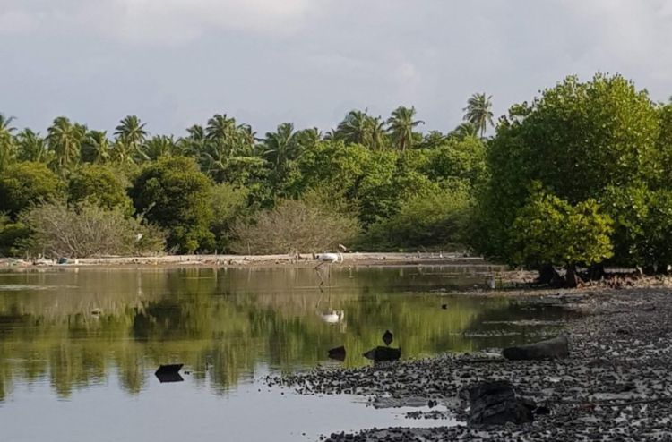 ބާރަށާއި ފުނަދޫގައި ޓޫރިސްޓް ހޮޓާ އަޅަން ބަޔަކު ހޯދަނީ