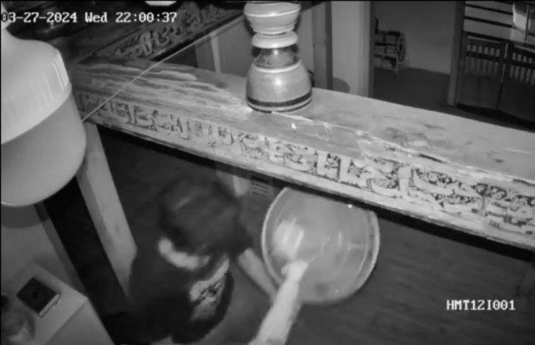 މިސްކިތުން ފަންކާ ވަގަށް ގެންދިޔަ މީހާ ހައްޔަރުކޮށްފި