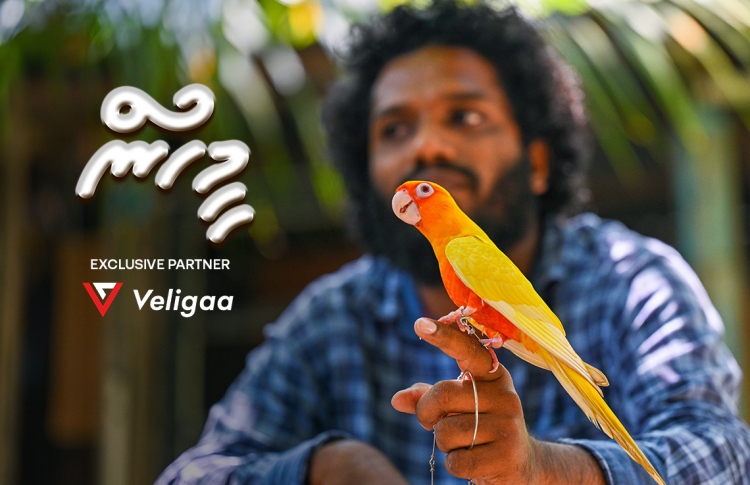 މިލިއަނުން ކިޔަސް ނުވިއްކާނެ، އެހާ ތަފާތު ދޫންޏެއް