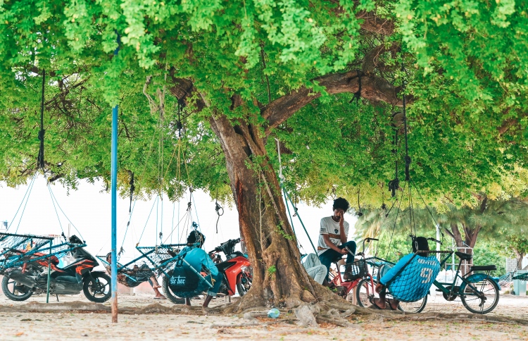 ވަންދޫ މީހުން ކުޑަހުވަދުއަށް ބަދަލުވާން މަޝްވަރާއަށް