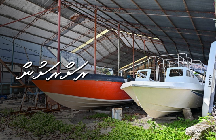 ހިރިލަންދޫ ފައިބަރު ލޯންޗުގެ ފްލީޓް ރާއްޖެ ހިފަނީ