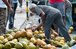 Coconuts in the marketplace on the first day of Ramadan this year. -- Photo: Nishan Ali / Mihaaru News