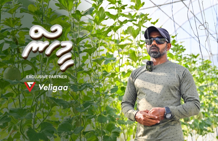 ހާފިޒެއް، އިމާމެއް، ދަނޑުވެރިއެއް