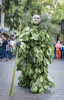 One of the 'Maali' at yesterday's parade.-- Photo: Nishan Ali / Mihaaru