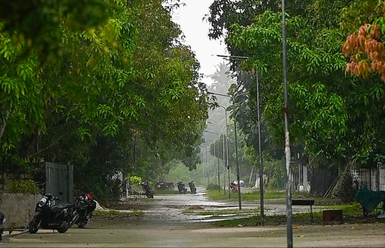 ވިއްސާރައިގައި ފީވަކުގެ 20 ގެއަކަށް ގެއްލުން