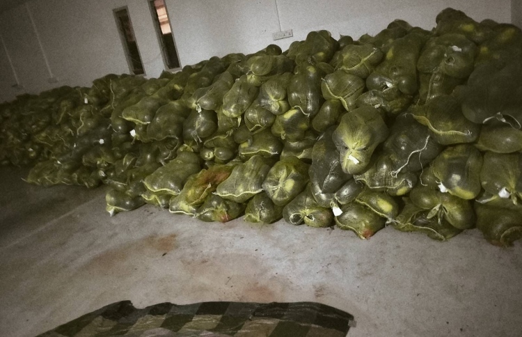 ހަ ރޯދައަށް ޗަމްޕާ ބްރަދާސް އިން 25 ޓަނުގެ ކަރާ ހަދިޔާކޮށްފި