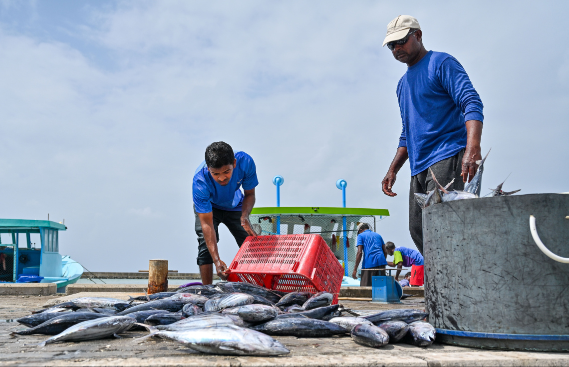 Gavaaidhaa khilaaf masverikan huttuvan fiyavalhu alhanee
