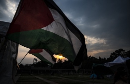 Palestinina flags captured during a protest by Mexican civilians over the rights of Palestinians. -- Photo: Agence France-Presse (AFP)