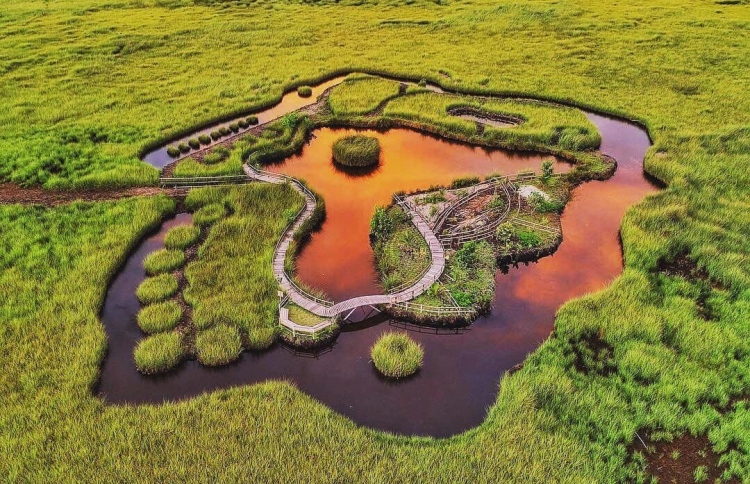 އައްޑޫ މަތިކިޅިއަށް ވަންނަން ދިވެހިންގެ އަތުން 10ރ.