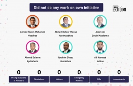 MPs who did not initiate any work in parliament.