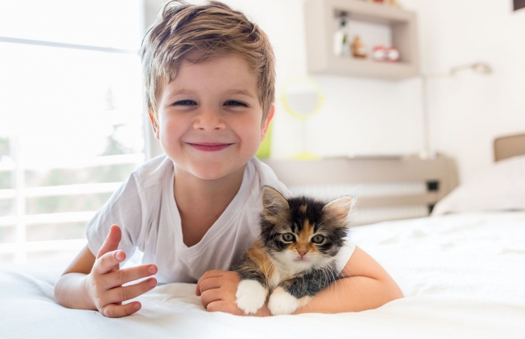 ކުޑަކުދިންނަށް ރަނގަޅުވެދާނެ ޕެޓްތައް