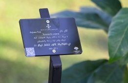 A memorial plaque placed near the tree planted by President Dr Mohamed Muizzu to launch the 5 Million Trees Plantation Program. -- Photo: President's Office