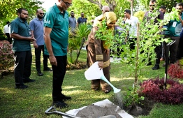 Madam Sajidha plants a tree at Lonuziyaaraiy Park today.-- Photo: Environment Ministry