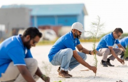 Maldives Ports Limited (MPL) staff planting trees under the 5 Million Trees Plantation Program -- Photo: MPL