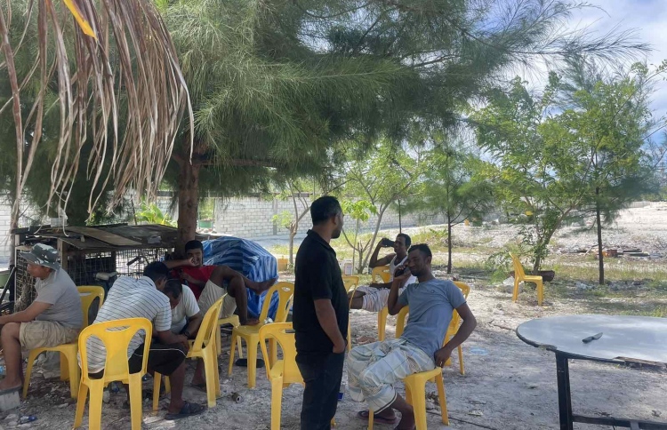 އޮޕަރޭޝަން ހުއްޓުވާ ދޯނިތަކުން މަހެއް ނުގަންނާނެ:މިފްކޯ