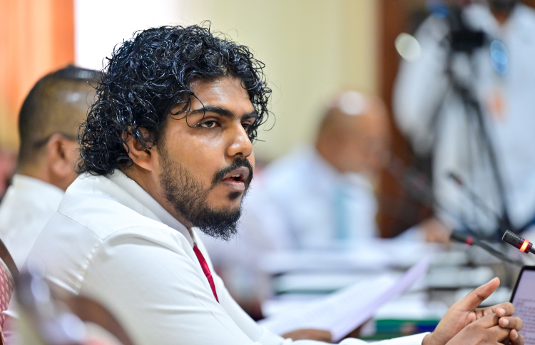 މާލިއްޔަތު އަދި 241 ކޮމިޓީން އަޒާން ވަކިކޮށްފި