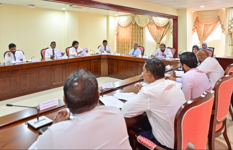 ގޯތި ދޫކުރުމާ ބެހޭ ހާއްސަ އޮޑިޓެއް ހަދަން އަންގައިފި