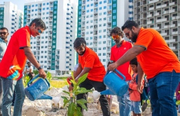 Dhiraagu employees planting and watering trees during the 'Go Green 2024' tree plantation program.