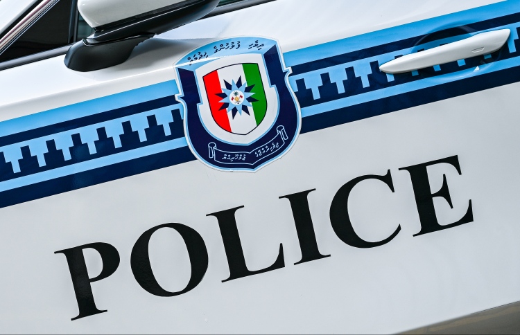 ހަތަރު މަހުގެ ކުއްޖާގެ ހަށިގަނޑު ޕޯސްޓްމޯޓަމަށް