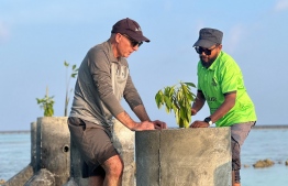 High Commissioner Jessup in B. Hithaadhoo with local NGO Icons Association, inspecting a coastal protection project funded by Australia through UNDP on February 2024 -- Photo: Australia High Commission