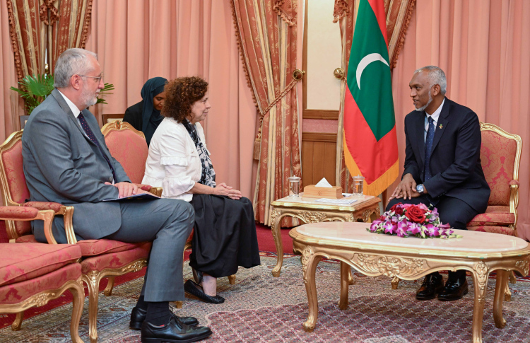 ޑިޔުޓީ ކުޑަކުރަން އީޔޫ ސަފީރާ އެކު މަޝްވަރާކުރައްވައިފި