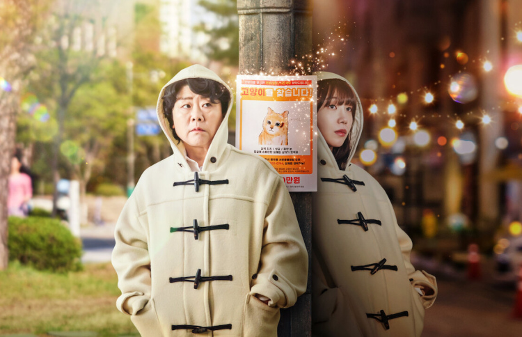 "މިސް ނައިޓް އެންޑް ޑޭ" އަށް ބޮޑު ތަރުހީބެއް