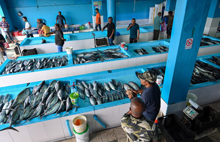 ފިޔޯރީގައި މަސްކާރުހާނާއެއް ހަދަން ސޮއިކުރަނީ