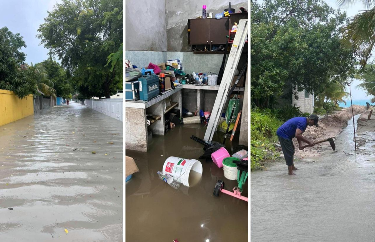 ހއ. ކެލާއަށް ކުރި ވިއްސާރަައިގައި އެރަށުގައި ފެންބޮޑުވެ، ގެއްލުންވެފައި.