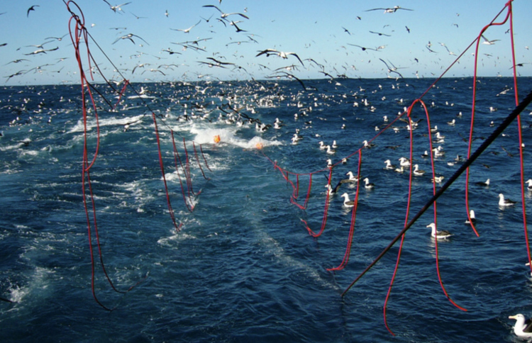 18 ޖަމިއްޔާއެއްގެ ބޮޑެތި ކަންބޮޑުވުމާއި އިންޒާރު!