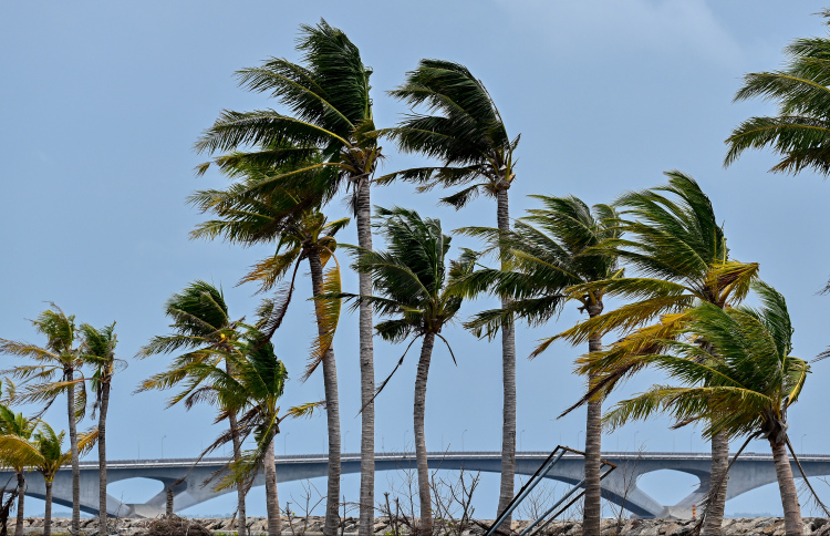 ހަފުތާ ބަންދުގައި ވިއްސާރަ ކުރާނެ: މެޓް