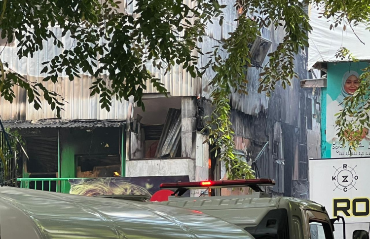 ކެފޭގެ އަލިފާން: 50 ބިދޭސީންގެ އެކޮމޮޑޭޝަނެއް