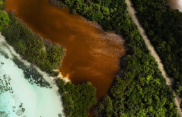 Aerial View of one of the mangroves in Kendhikulhudhoo -- Photo: Ahmed Jailam