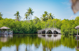 A view of Hinna Bridge -- Photo: Ali Wisam