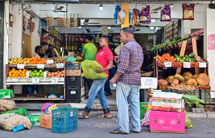 ރޯދައަށް އެސްޓީއޯއިން 24 ބާވަތެއް ގެންނަނީ