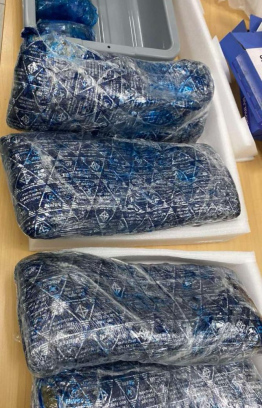 Drugs seized by Customs.