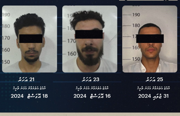 ވަގު ޕާސްޕޯޓެއްގައި އައި ތިން މީހަކު ހިފަހައްޓައިފި