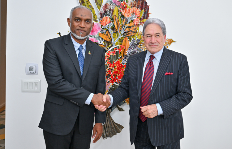 ދެގައުމެއްގެ ބޮޑުވަޒީރުންގެ ނައިބާ ބައްދަލުކުރައްވައިފި