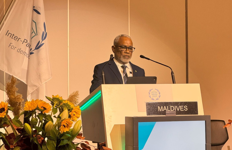 "ދޮގު މައުލޫމާތަކީ ޑިމޮކްރަސީއަށް ގޮންޖެހުމެއް"