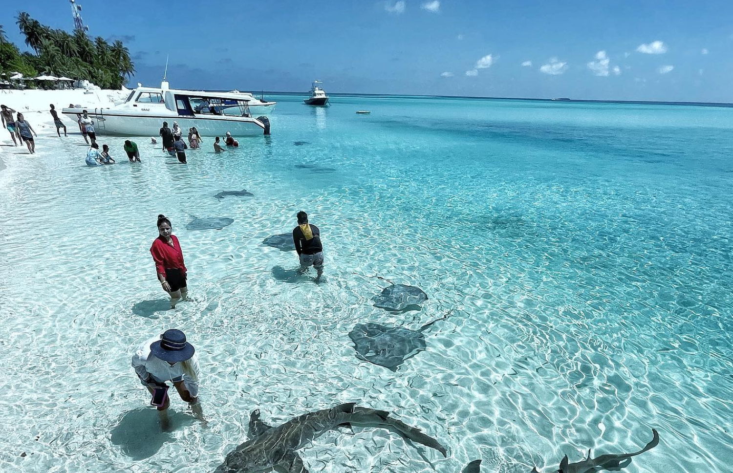 ސީ ޑްރޮޕްގެ ހަވާލުގައި ޓޫރިސްޓުންތަކެއް މޫދަށް އެރެނީ. -- ފޮޓޯ: ސީޑްރްޕް/ ފޭސްބުކް