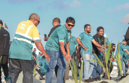 MPL employees taking part in the tree planting initiative -- Photo: MPL