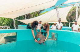 The Sea Turtle Rehabilitation Centre in Soneva Jani -- Photo: Soneva