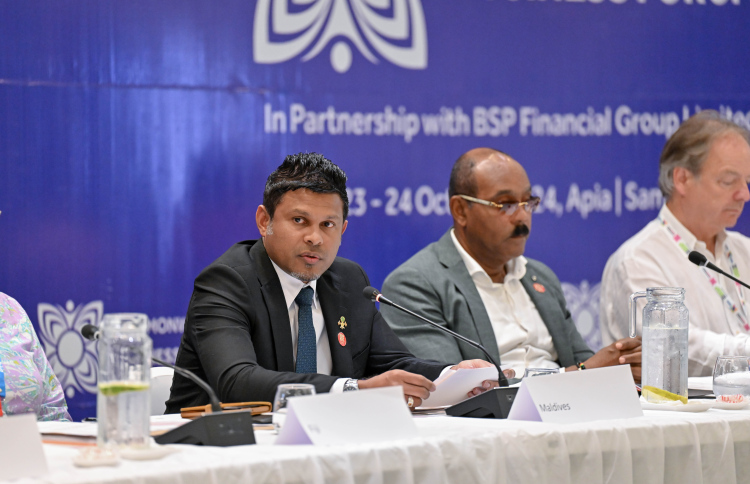 ތަރައްގީގައި ޕްރައިވެޓް ސެކްޓާގެ ބައިވެރިވުން މުހިންމު