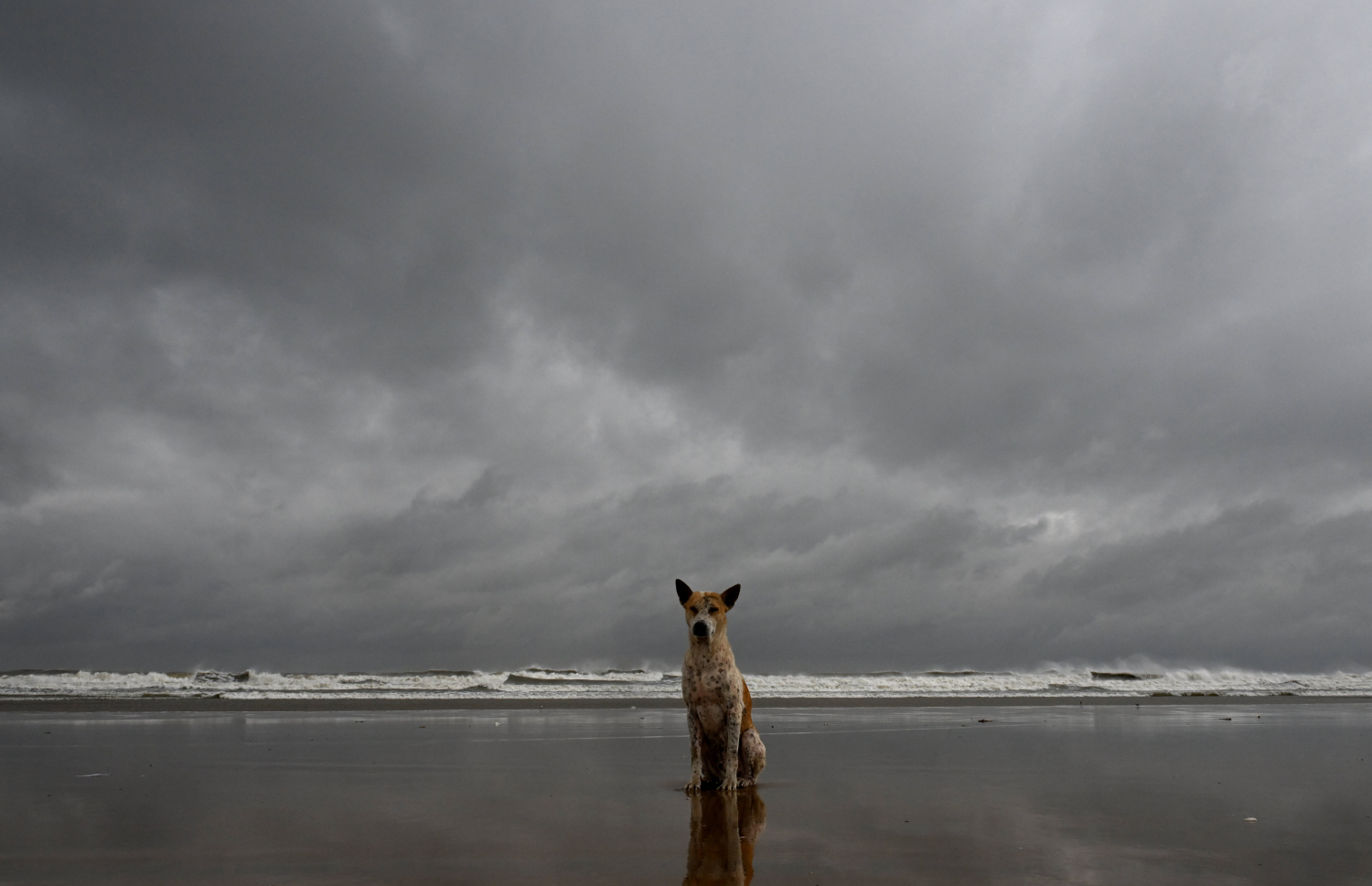 ތޫފާން "ޑާނާ'ގެ އަސަރު އެންމެ ބޮޑަށް ކުރާނެ ވެސްޓް ބެންގޯލްގެ އައްސޭރިފަށުގެ ހިސާބެއްގެ ބީޗުގައި ކުއްތާއެއް.-- ފޮޓޯ: އޭއެފްޕީ