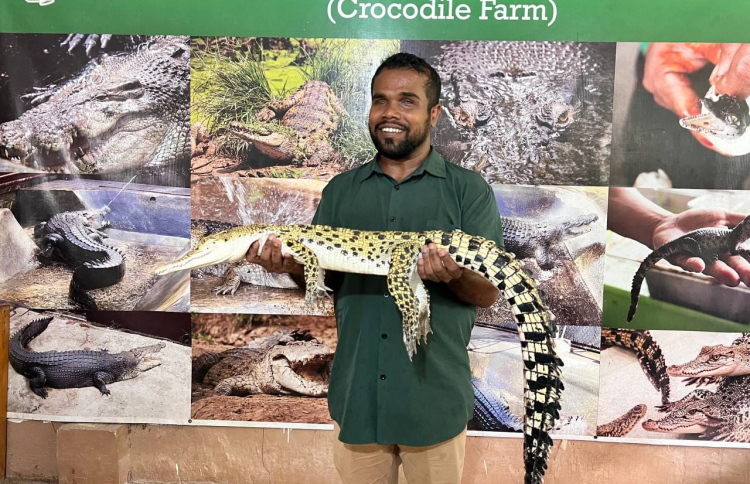 ލޯފަން، އެކަމަކު ޒިޔާއު ނުކުރާ ތަޖުރިބާއެއް ނެތް