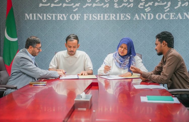 މުލަކުގައި ކޯލްޑް ސްޓޯރޭޖެއް ހަދަން ސައުދީގެ ބަޔަކަށް