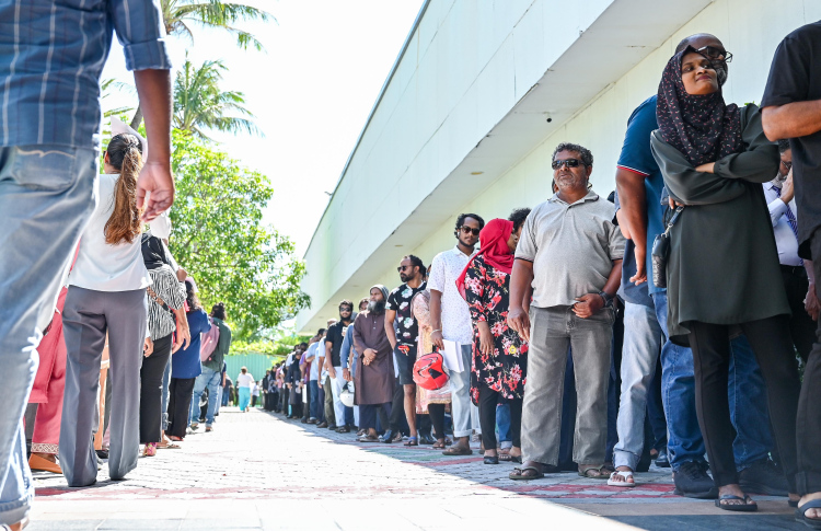 ގުޅިފަޅުގެ 800އަށް ވުރެ ގިނަ ގޯތީގެ ރަޖިސްޓްރީ ދީފި