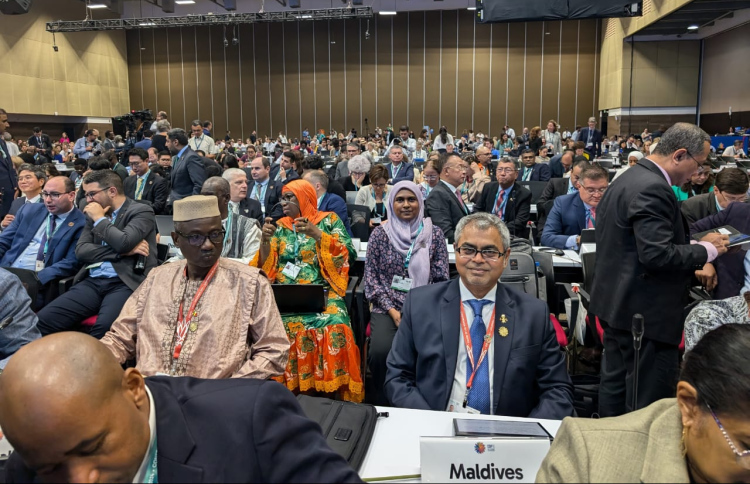 ލަނޑުދަނޑިތަކަށް ދެމެހެއްޓެނެވި ގޮތެއްގައި އެހީދޭންޖެހޭ