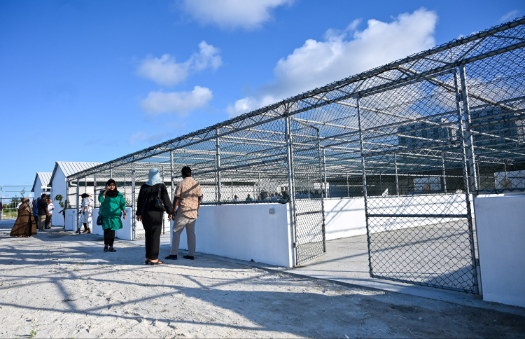 އޮޅުހިޔާ އަށް ބުޅާތައް ގެންދަން ފަށައިފި