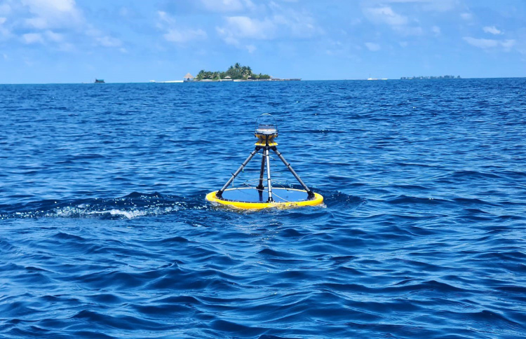 ރާޅުން ހަކަތަ އުފައްދަން ސްޓެލްކޯއިން ދިރާސާއެއް